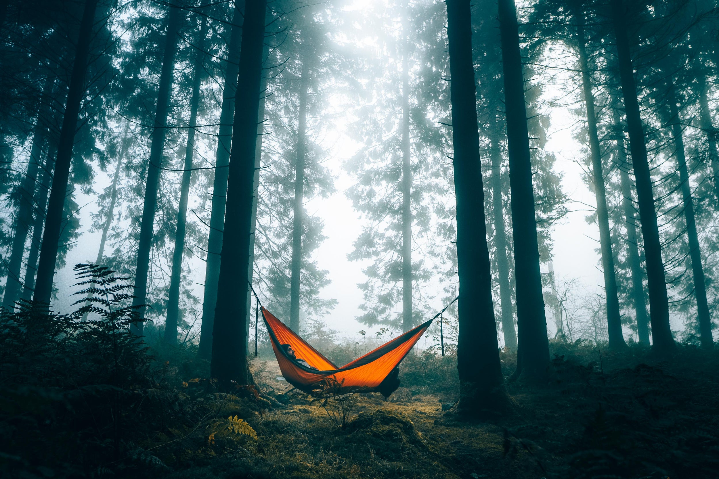 Sunburnt Orange Nakie hammock hanging between tall trees in a misty forest.