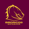 Broncos - NRL Recycled Hammock with Straps swatch