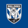 Bulldogs - NRL Recycled Hammock with Straps swatch