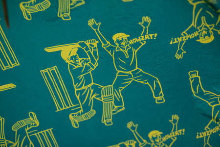 Cricket Australia Recycled Hammock with Straps