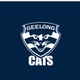 Geelong Cats - AFL Recycled Sand Free Beach Towel colour swatch