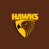 Hawthorn Hawks - AFL Sustainable Down Puffy Blanket colour swatch
