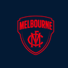 Melbourne Demons - AFL Sustainable Down Puffy Blanket colour swatch