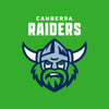Raiders - NRL Recycled Hammock with Straps swatch