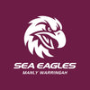 Sea Eagles - NRL Recycled Hammock with Straps swatch